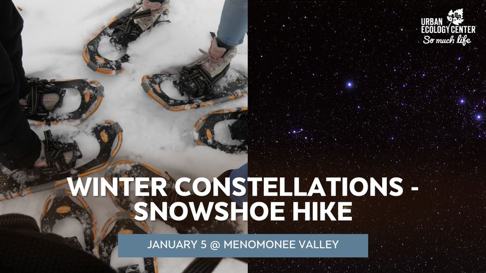 Winter Constellations – Snowshoe Hike