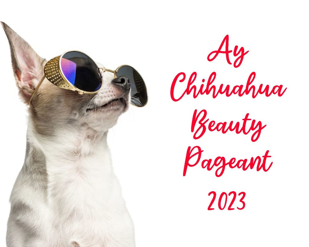 Ay Chihuahua Beauty Pageant 2023